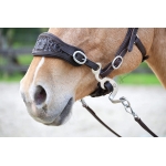 Edix ED4 Rose Hackamore Bridle Edix ED4 Rose Hackamore Bridle